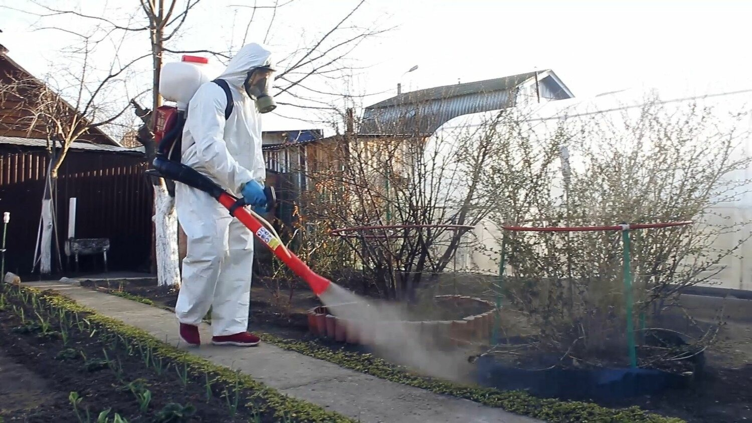 ФОТО Уничтожение муравьёв в Немчиновке