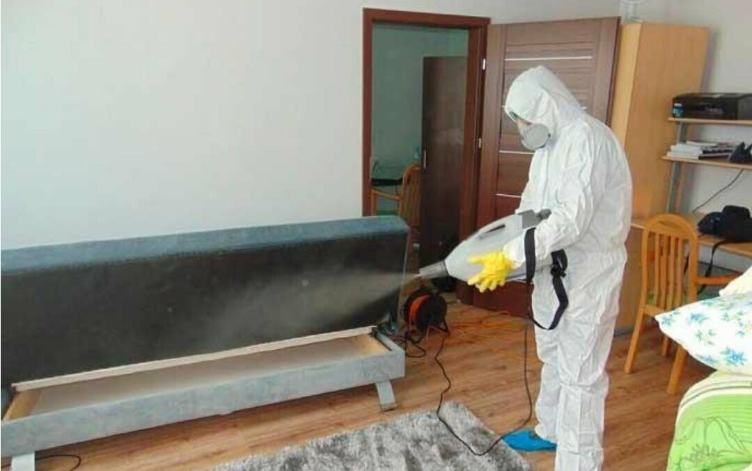 ФОТО Уничтожение блох в Немчиновке