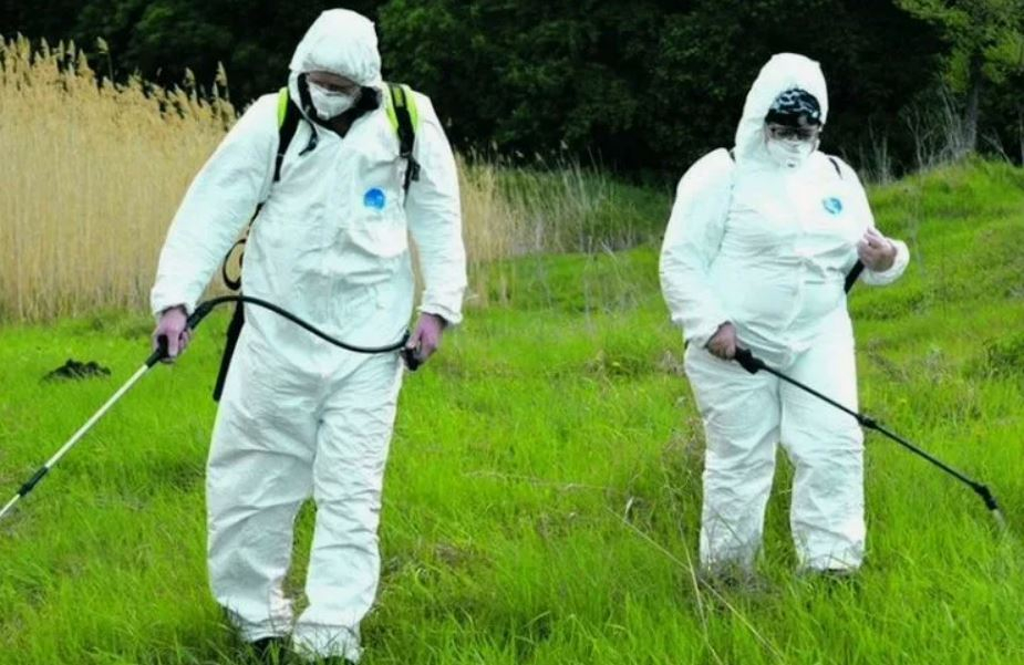 ФОТО Обработка от клещей в Немчиновке