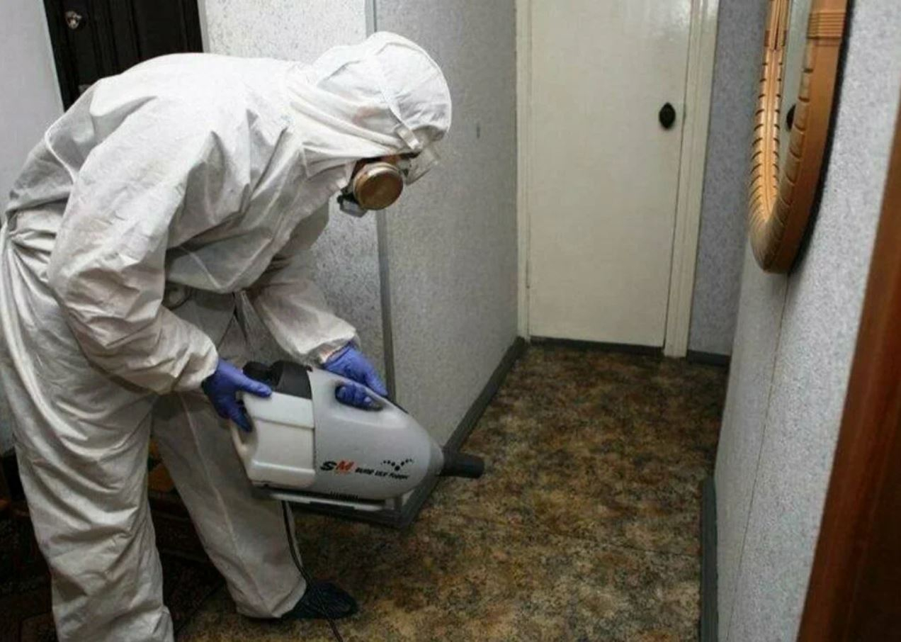 ФОТО Какие методы обработки для дезинсекции существуют в Немчиновке? | подробно