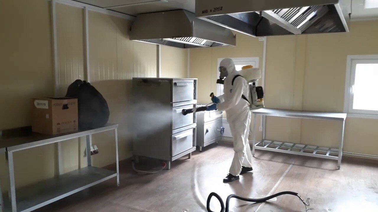 ФОТО Можно ли провести дезинсекцию самостоятельно и какие существуют риски в Немчиновке? | подробно