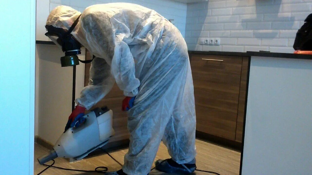 ФОТО Как подготовить домашних животных к обработке от насекомых в Немчиновке? | подробно