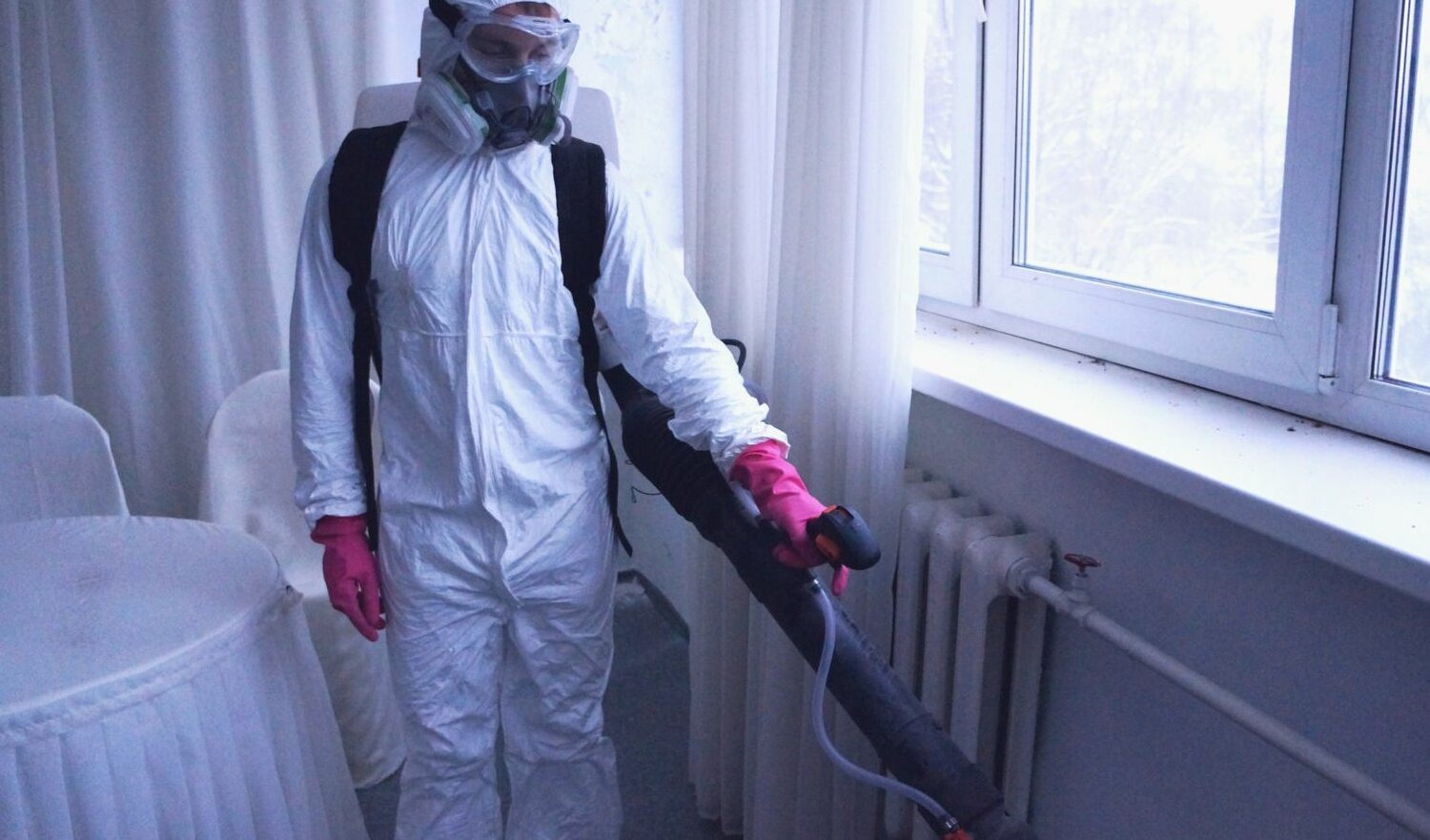 ФОТО Нужно ли выносить растения при дезинсекции в Немчиновке? | подробно