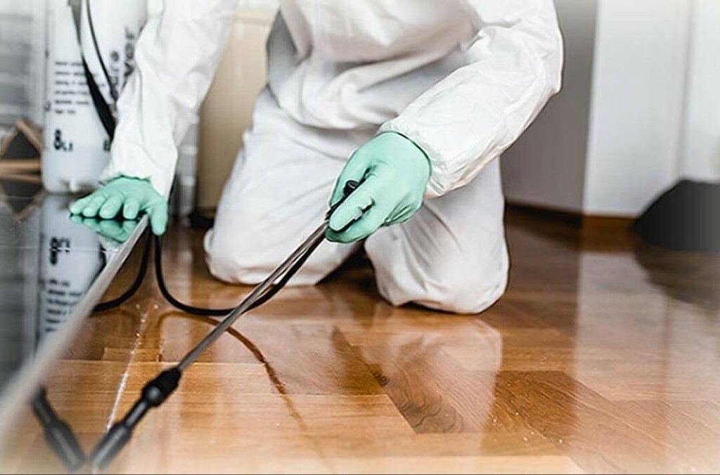 ФОТО Как подготовить вентиляцию при предстоящей дезинсекции в Немчиновке?