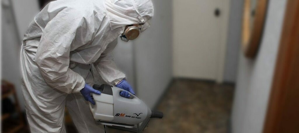 ФОТО Остаются ли следы после обработки квартиры от насекомых в Немчиновке? | подробно