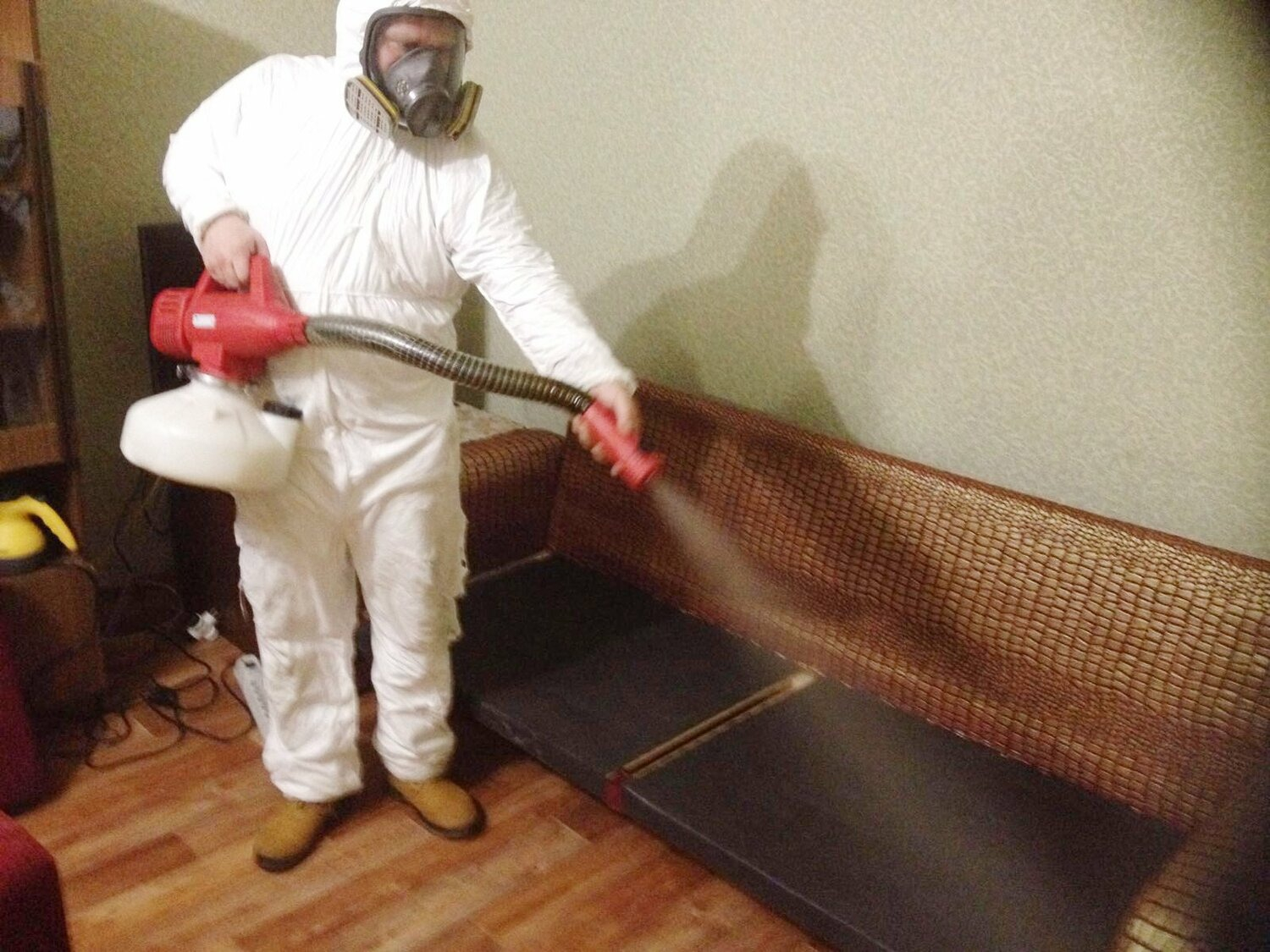 ФОТО Когда можно вернуться в помещение после дезинсекции в Немчиновке? | подробно