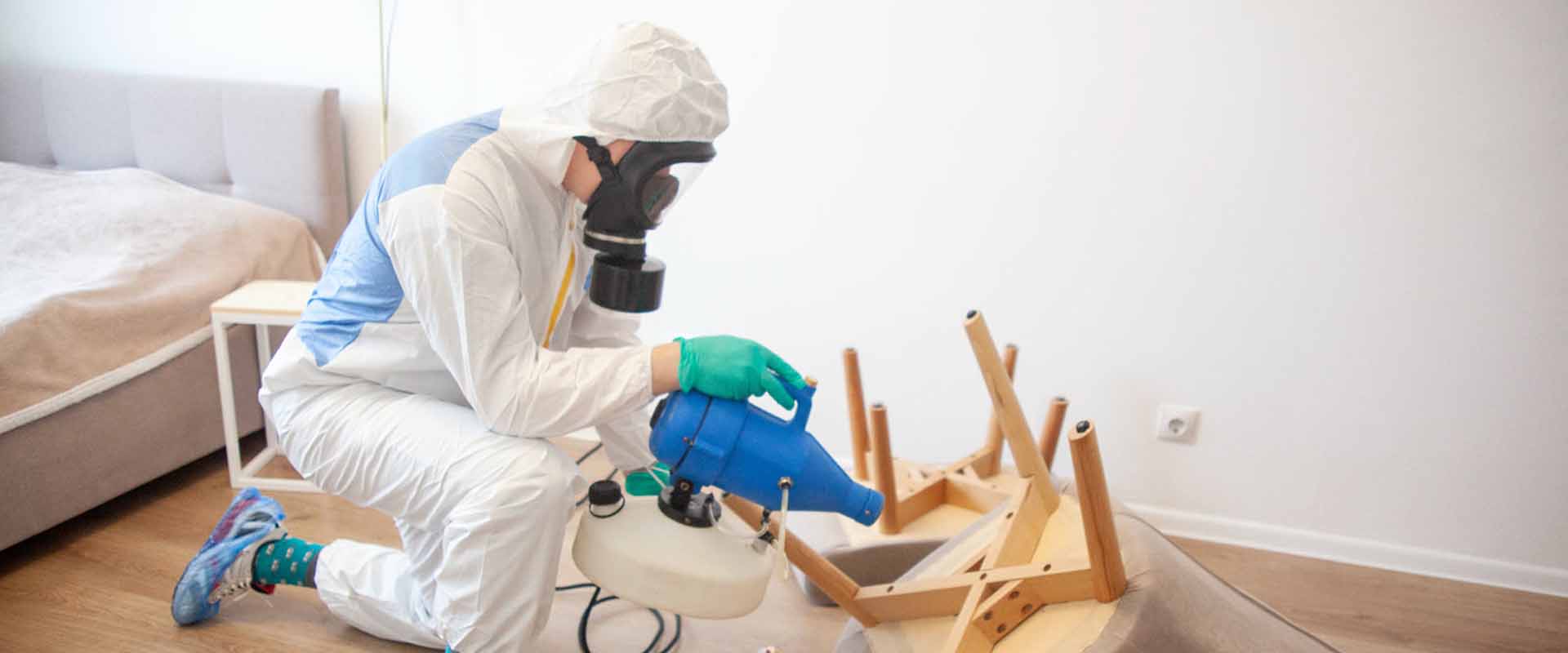 фото: Уничтожение постельных клопов с 1-го раза с гарантией за 30-60 мин. в Немчиновке без предоплаты