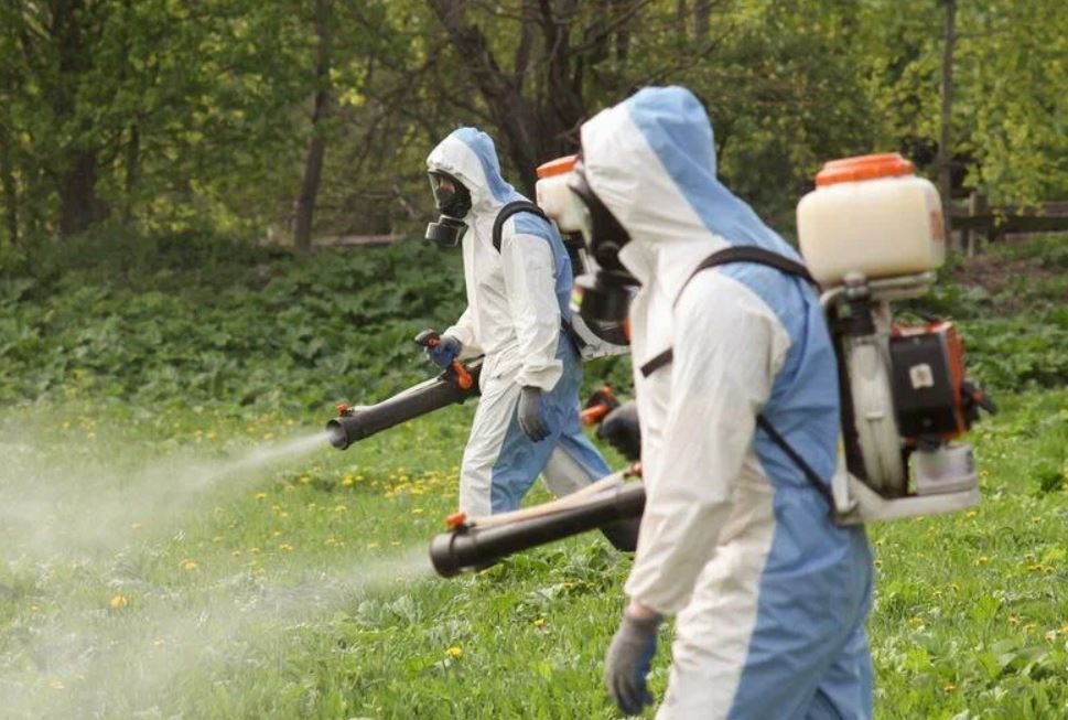 фото: Профессиональное уничтожение мух в Немчиновке: <br/>+7-909-173-42-96